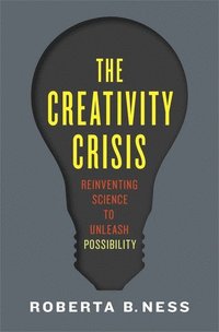 bokomslag The Creativity Crisis