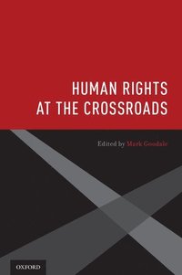 bokomslag Human Rights at the Crossroads