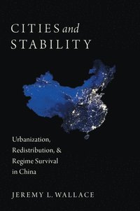 bokomslag Cities and Stability