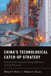 bokomslag China's Technological Catch-Up Strategy