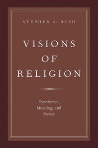 bokomslag Visions of Religion