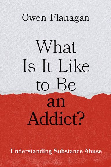 Owen Flanagan - What Is It Like to Be an Addict?, Inbunden