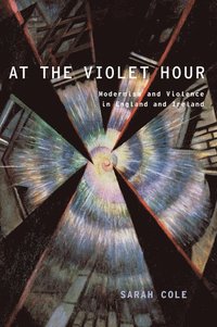 bokomslag At the Violet Hour