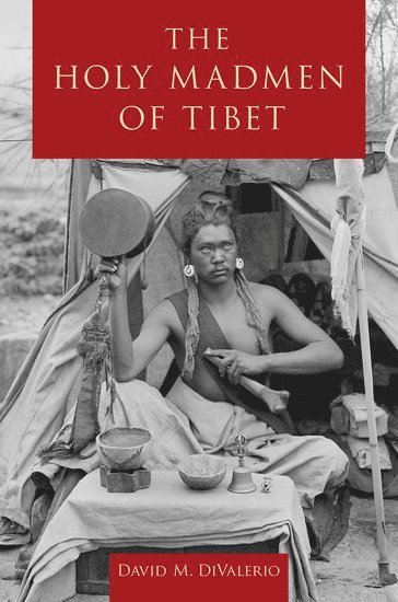 bokomslag Holy Madmen of Tibet