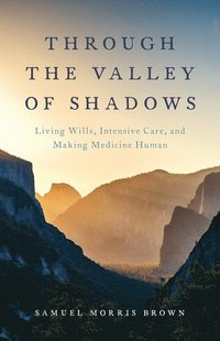 bokomslag Through the Valley of Shadows