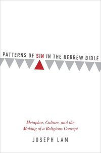 bokomslag Patterns of Sin in the Hebrew Bible