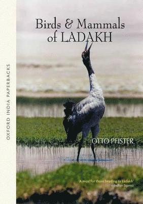 Pfister - Birds and Mammals of Ladakh, Häftad
