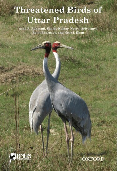 Asad R. Rahmani, Sanjay Kumar, Neeraj Srivasrav, Rajat Bhargava, Noor I. Khan - Threatened Birds of Uttar Pradesh, Häftad