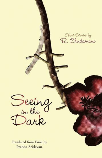 R. Chudamani, Prabhar Sridevan - Seeing in the Dark, Häftad