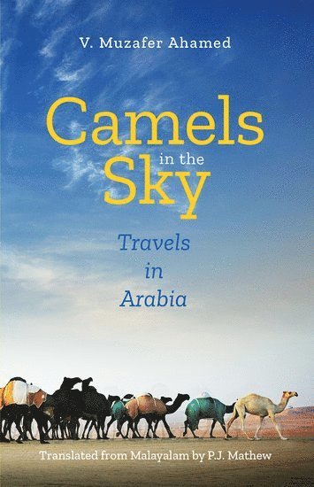 Camels in the Sky 1