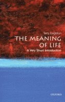 bokomslag The Meaning of Life: A Very Short Introduction