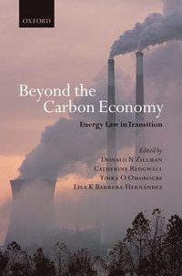 bokomslag Beyond the Carbon Economy