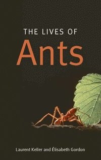 bokomslag Lives of ants