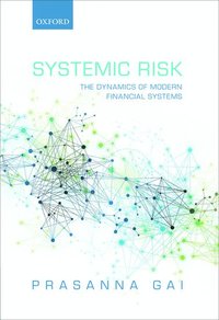 bokomslag Systemic Risk