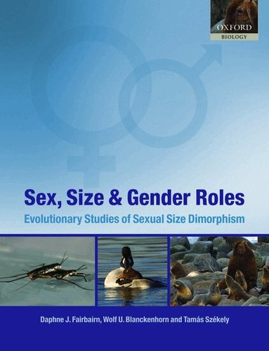 Daphne J. Fairbairn, Wolf U. Blanckenhorn, Tamás Székely - Sex, Size and Gender Roles, Häftad