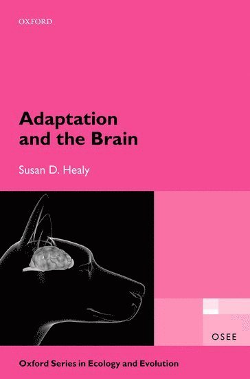 Adaptation and the Brain 1