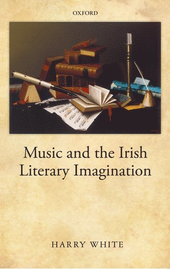 bokomslag Music and the Irish Literary Imagination