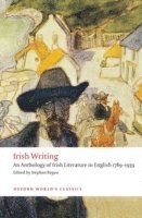 bokomslag Irish Writing