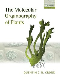 bokomslag The Molecular Organography of Plants