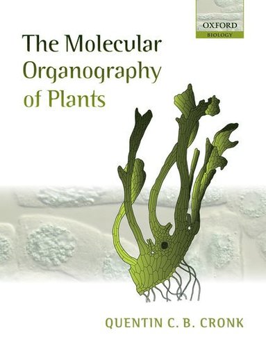 bokomslag Molecular Organography of Plants