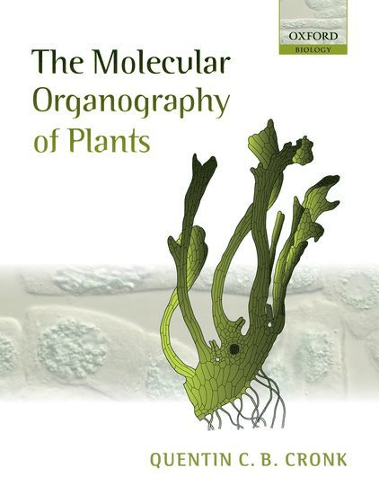 The Molecular Organography of Plants 1