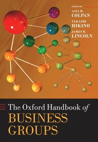 bokomslag The Oxford Handbook of Business Groups