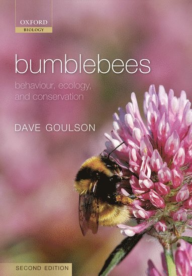 Bumblebees 1