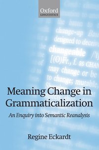 bokomslag Meaning Change in Grammaticalization