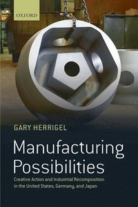 bokomslag Manufacturing Possibilities