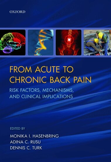 Monika I. Hasenbring, Adina C. Rusu, Dennis C. Turk - From Acute to Chronic Back Pain, Inbunden