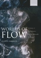 bokomslag Worlds of Flow