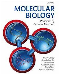 bokomslag Molecular Biology