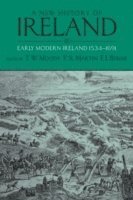 bokomslag A New History of Ireland, Volume III