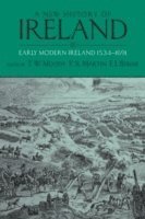 A New History of Ireland, Volume III 1