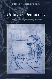 bokomslag Utility and Democracy