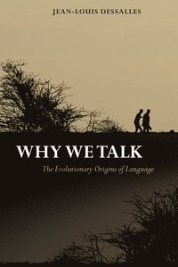 bokomslag Why We Talk