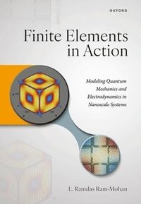 bokomslag Finite Elements in Action