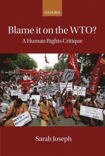 bokomslag Blame it on the WTO?