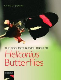 bokomslag The Ecology and Evolution of Heliconius Butterflies