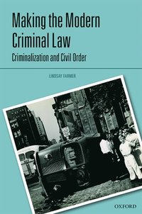 bokomslag Making the Modern Criminal Law