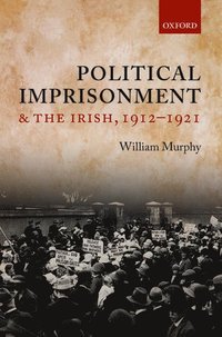 bokomslag Political Imprisonment and the Irish, 1912-1921