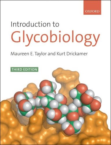 Maureen E. Taylor, Kurt Drickamer - Introduction to Glycobiology, Häftad