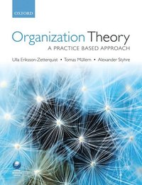 bokomslag Organization Theory: A Practice Based Approach