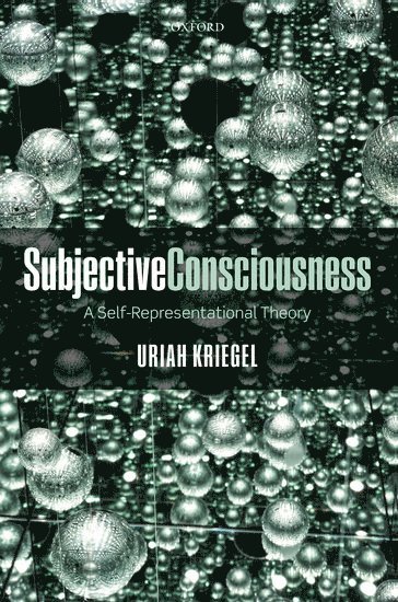 bokomslag Subjective Consciousness