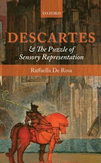 bokomslag Descartes and the Puzzle of Sensory Representation