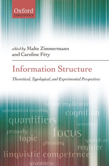 bokomslag Information Structure