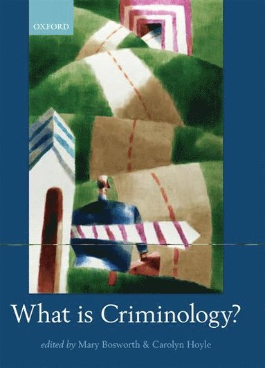 bokomslag What is Criminology?