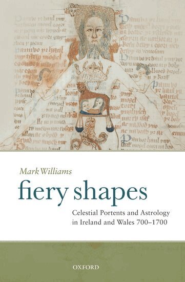 Mark Williams - Fiery Shapes, Inbunden
