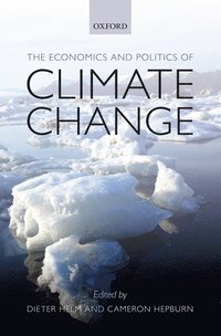 bokomslag The Economics and Politics of Climate Change