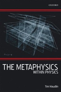 bokomslag The Metaphysics Within Physics